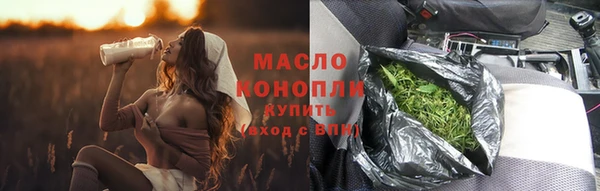 гашик Бородино