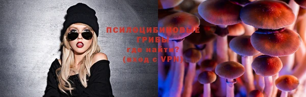 гидропоника Бронницы