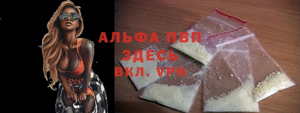 гашик Бородино