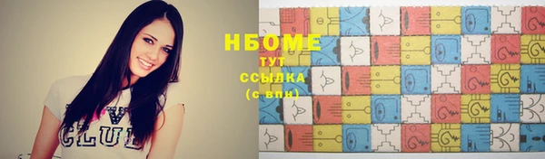 гашик Бородино