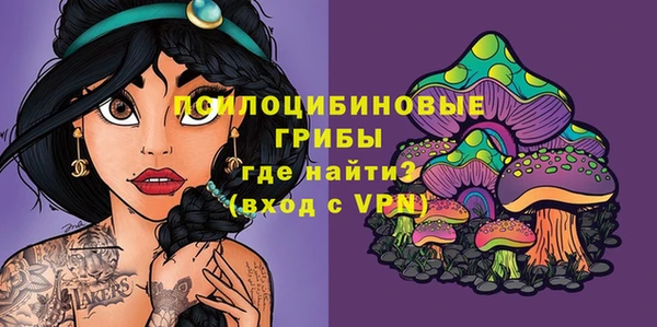 гидропоника Бронницы