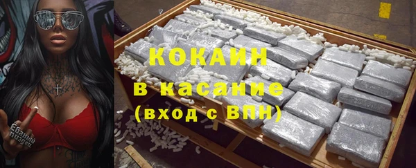 гашик Бородино