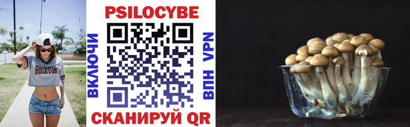 Галлюциногенные грибы Cubensis  Купить  Вятские Поляны 