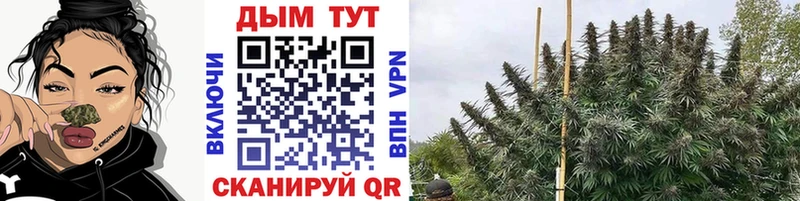 МАРИХУАНА семена  Купить где  Вятские Поляны 